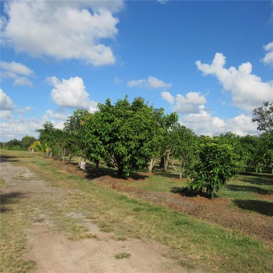 A 16 acre mixed-zoning land is available for sale on SR 64 in - photo 51