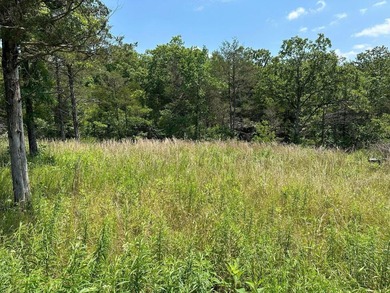 Table Rock Lake Lot For Sale in Cassville Missouri