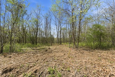 This is a bold statement, but this 29 acre tract consistently - photo 11