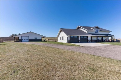 Lake Home For Sale in Dane Prairie Twp, Minnesota