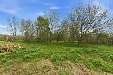 This is a bold statement, but this 29 acre tract consistently - photo 14