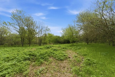 This is a bold statement, but this 29 acre tract consistently - photo 15