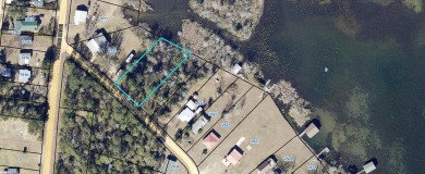 Lake Lot For Sale in Donalsonville, Georgia