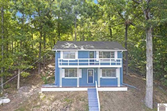 Cute and cozy completely renovated water view cottage on KY Lake - Lake Home For Sale in New Concord, Kentucky
