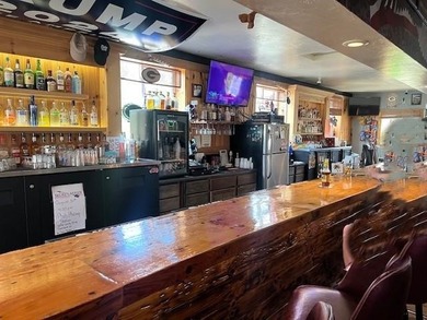 Well established tavern and restaurant located 5 miles West of - photo 3