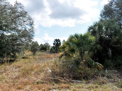 Northport Waterway Lakes and Canals Lot For Sale in North Port Florida