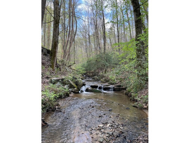 Carters Lake Acreage For Sale in Talking Rock Georgia