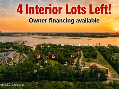 Interior Lot 15 - Comes with a Boat Slip! Owner Financing - photo 1