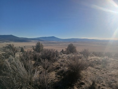 (private lake, pond, coastal) Lot For Sale in Beatty Oregon