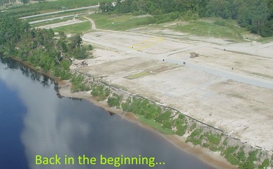 Charleston-style living at its finest! This homesite rests - photo 6