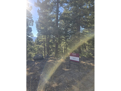 Incredible opportunity in Angel Fire! Build your dream home on - photo 2