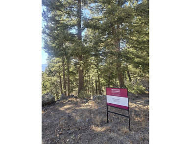 Incredible opportunity in Angel Fire! Build your dream home on - photo 3