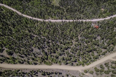 Incredible opportunity in Angel Fire! Build your dream home on - photo 4