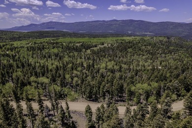Incredible opportunity in Angel Fire! Build your dream home on - photo 6