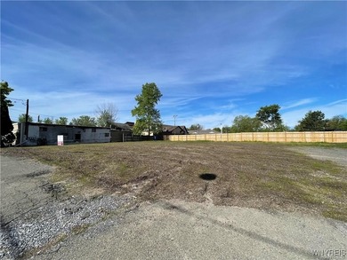 Lake Erie Lot For Sale in Derby New York