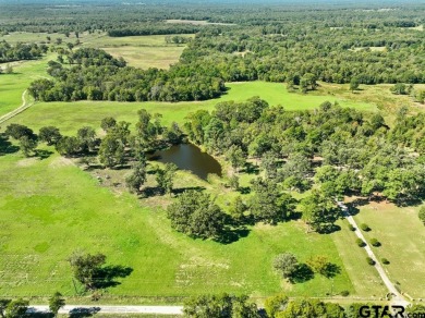 Lake Home For Sale in Mineola, Texas
