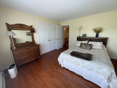 Welcome home to this adorable, move-in ready Cape that perfectly - photo 11