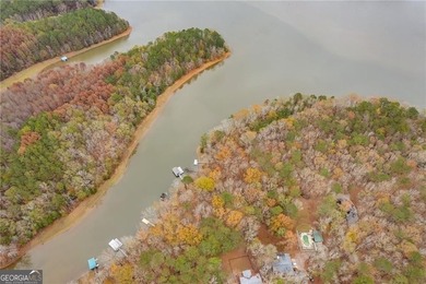 Escape to your own slice of paradise on West Point Lake with - photo 38