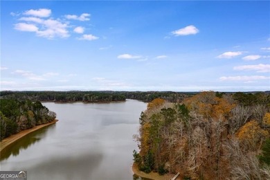 Escape to your own slice of paradise on West Point Lake with - photo 40