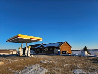 Lake Shetek Commercial Sale Pending in Mason Twp Minnesota