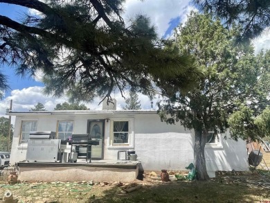 Lake Home For Sale in Mancos, Colorado
