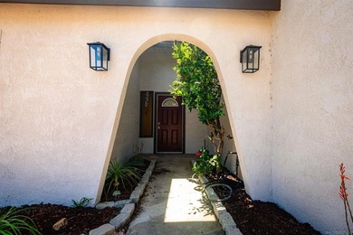Light and bright, beautifully remodeled Lake Elsinore home - photo 8