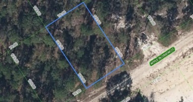 (private lake, pond, creek) Lot For Sale in Lake Placid Florida