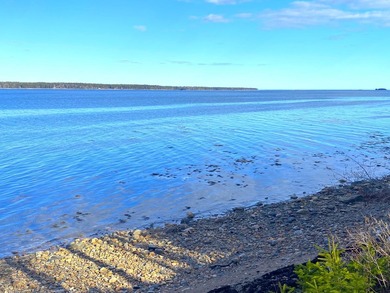 Spectacular & private location with deep water frontage! Turnkey - photo 46