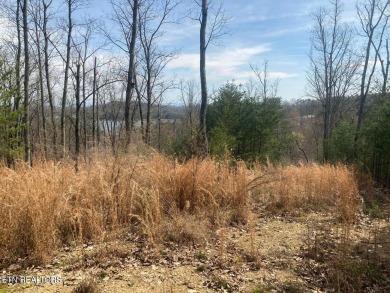 Lake Acreage For Sale in Knoxville, Tennessee