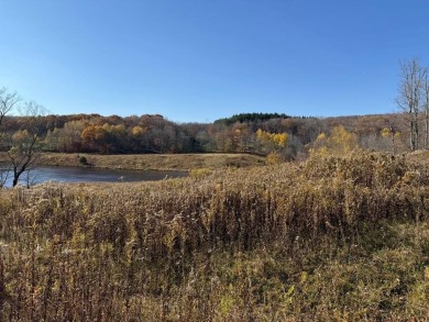 Lake Home For Sale in Livingston Manor, New York