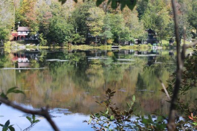Lake Lot For Sale in Roscoe, New York