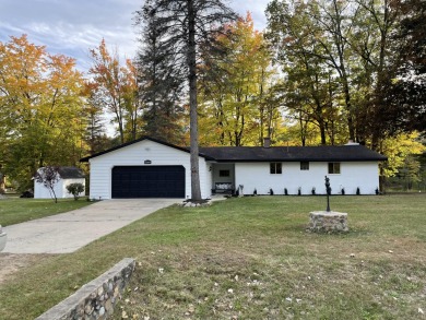 Lake Home For Sale in Beaverton, Michigan