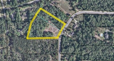Twin Lakes - Decatur County Acreage For Sale in Bainbridge Georgia
