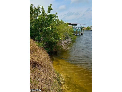 Beautiful Cape Coral residential lot now available! NO BRIDGES! - photo 4