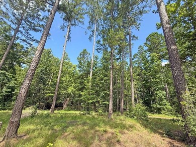 Beautiful 24.5 acre tract offering privacy and convenience just - photo 1