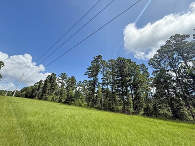 Beautiful 24.5 acre tract offering privacy and convenience just - photo 2