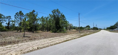 Lehigh Acres Area Lot For Sale in Lehigh Acres Florida
