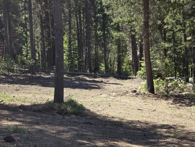 Crescent Lake - Klamath County Lot For Sale in Crescent Lake Oregon