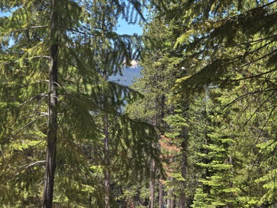 Crescent Lake - Klamath County Lot For Sale in Crescent Lake Oregon