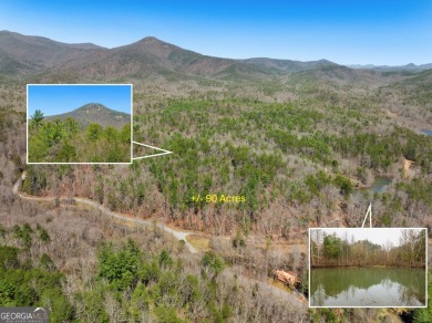 (private lake, pond, creek) Lot For Sale in Sautee Nacoochee Georgia