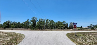 Lehigh Acres Area Lot For Sale in Lehigh Acres Florida