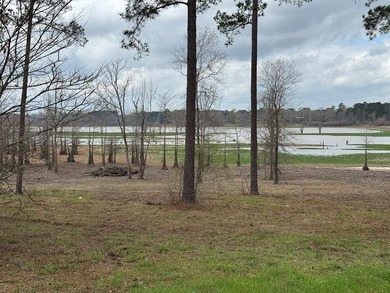 Wake up to panoramic lake views and the peaceful beauty of Lake - photo 7