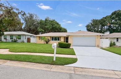 Lake Tarpon Home Sale Pending in Palm Harbor Florida