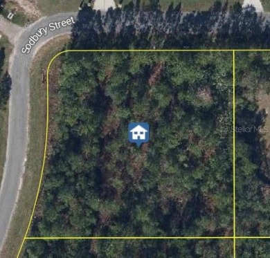 Lake Lot For Sale in Orlando, Florida