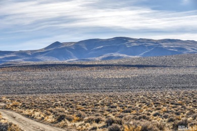 Carson River Acreage For Sale in Fallon Nevada