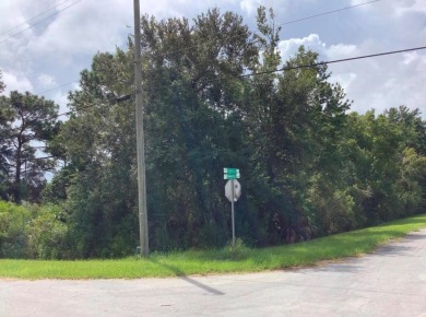 Lake Lot For Sale in Orlando, Florida