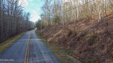 Build Your Dream Lifestyle - Rare Double Lot Opportunity! - photo 11