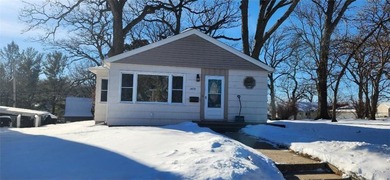 Fountain Lake Home For Sale in Albert Lea Minnesota