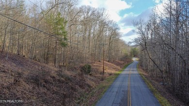 Build Your Dream Lifestyle - Rare Double Lot Opportunity! - photo 12