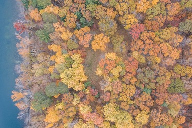 Build your dream lake home on one of the last undeveloped large - photo 12